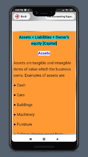 Basic Accounting Screenshot 2