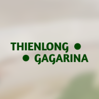Kuchnia Orientalna THIENLONG