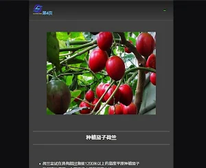 eggplant cultivation Screenshot 1