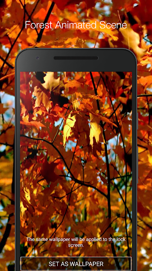 Autumn Forest Live Wallpaper Screenshot 1