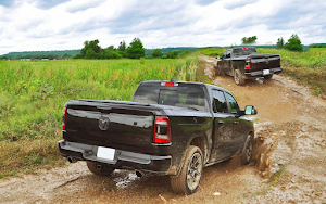 Pickup Truck Offroad Simulator Screenshot 2
