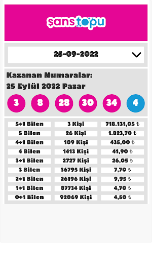 Şans Oyunları Sonuçları Screenshot 3