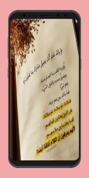 Messages from the Quran Screenshot 2