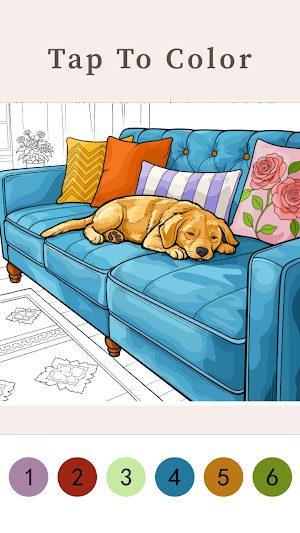 Cozy Home Color Screenshot 0