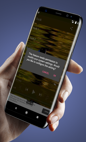 Sounds and Bells of Ducks Screenshot 1