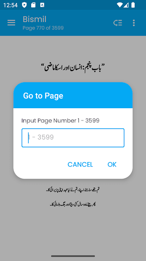 Bismil Novel by Mehrulnisa Screenshot 3