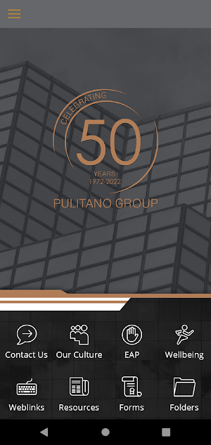 Pulitano Group Screenshot 1