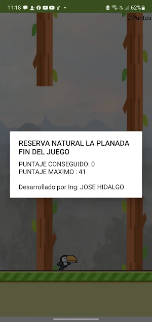 FLAPPY TUCAN Screenshot 2
