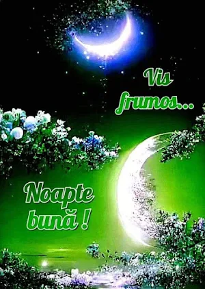 imagini de noapte buna Screenshot 2