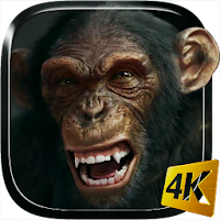 Talking Monkey Live Wallpaper