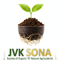 Jvk Sona
