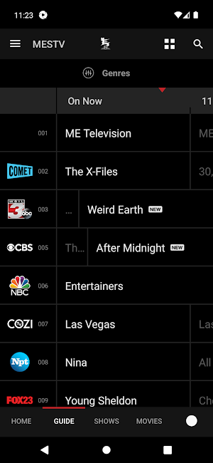 MESTV Screenshot 1