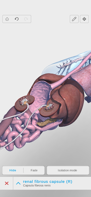 Complete Canine 3D - anatomy Screenshot 1