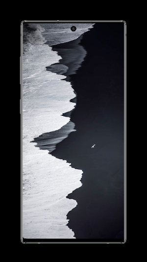 Black And White Wallpaper Screenshot 1