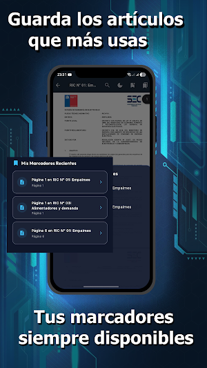 Pliegos RIC Chile Screenshot 2
