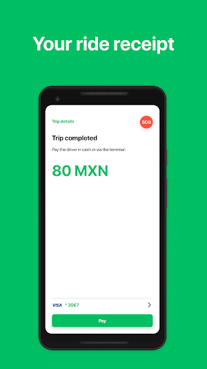 ZOOM: Mexico ExecutiveTaxi Screenshot 3