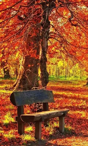 Fall Wallpaper 2023 Screenshot 1