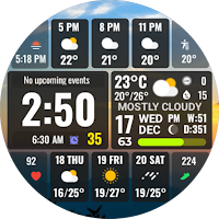 Full Weather Forecast NTV601