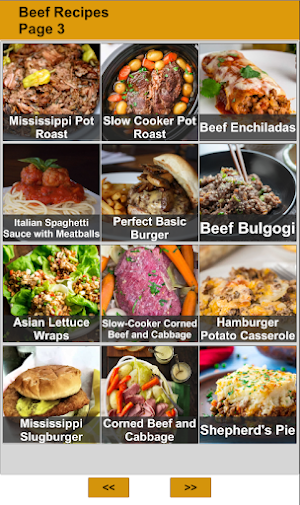 120 Beef Recipes Screenshot 2