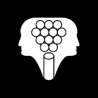 Giostra Individuale