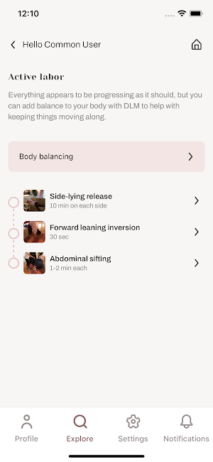 DLM Screenshot 1