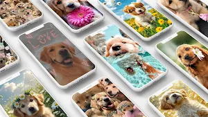 Puppy Wallpaper Screenshot 0
