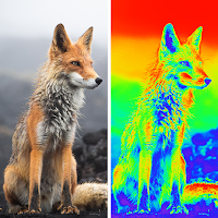 Thermal Effect: Image & Video