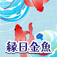縁日金魚慧眼｜夏の水面の影を見抜く