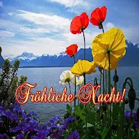 Fabelhafte Nacht!
