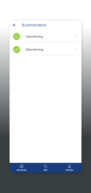 Tomas Buss Screenshot 2