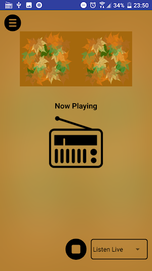The Treehouse Radio Player Screenshot 2