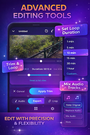Videlio Loop Screenshot 2