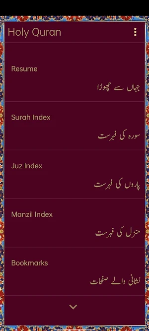 Quran - Color Coded Tajweed Screenshot 0