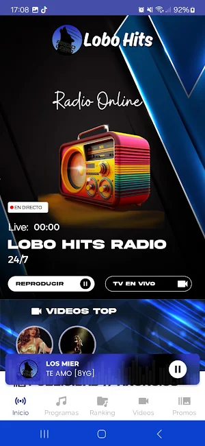 Lobo Hits Radio Usa Screenshot 1
