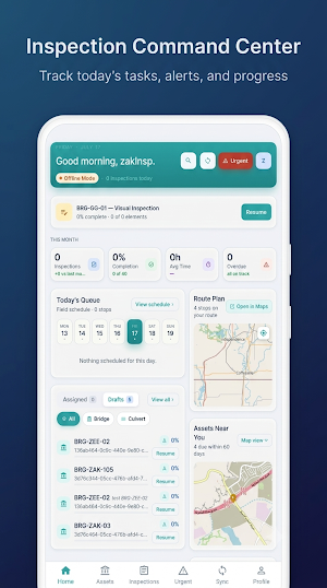 StruxIQ Screenshot 1