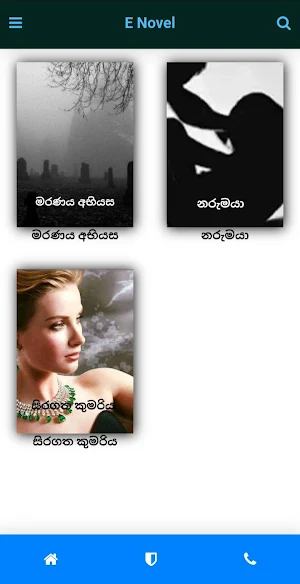 E novel Screenshot 2