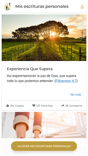 CENTRO DE RESTAURACION Screenshot 2