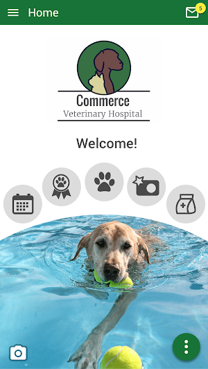 Commerce Vet Hosp Screenshot 0