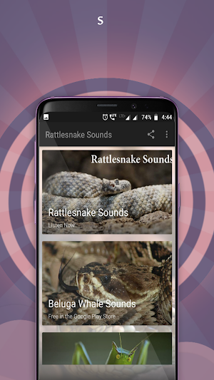 Rattlesnake Sounds Screenshot 0