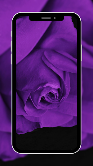 Purple Wallpaper Screenshot 2