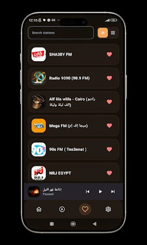 Radio Egypt - راديو مصر Screenshot 2
