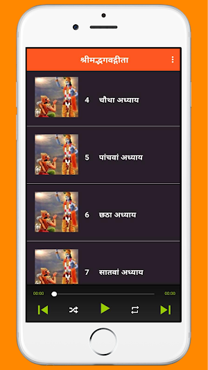 Bhagavad Gita in Hindi Audio Screenshot 3