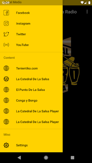 La Catedral De La Salsa Radio Screenshot 3