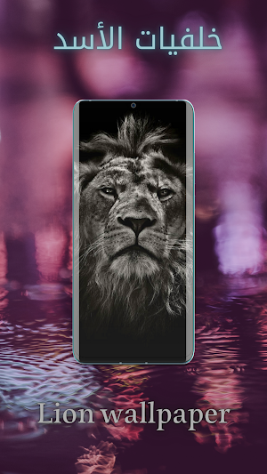 اجمل صور اسد - خلفية الأسد HD Screenshot 3