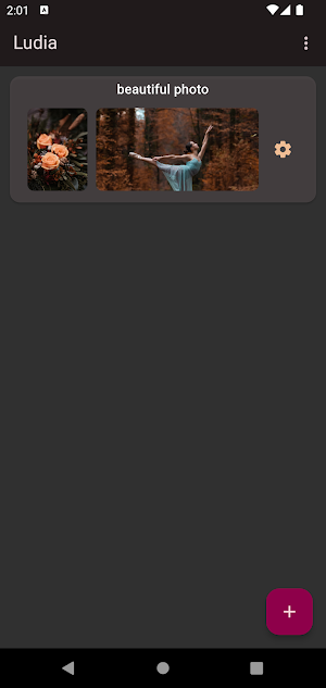 Ludia Screenshot 0