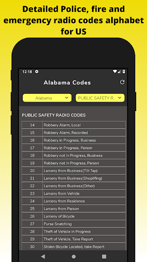 Police Scanner Radio Codes Screenshot 0