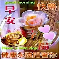 Good morning,早安