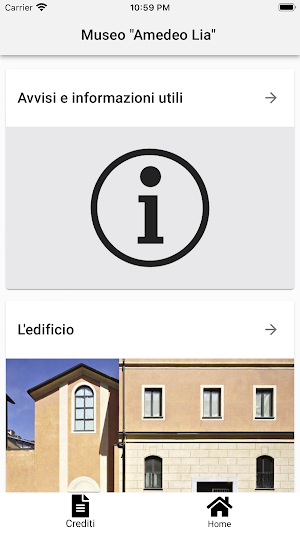 Amedeo Lia Museo in LIS Screenshot 0