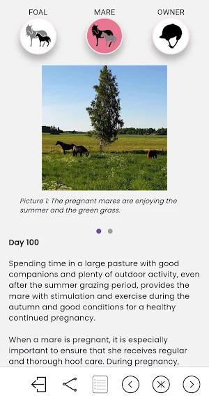 MY FOAL Screenshot 0