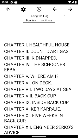 Book, Facing the Flag Screenshot 0